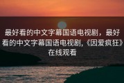 最好看的中文字幕国语电视剧，最好看的中文字幕国语电视剧,《因爱疯狂》在线观看