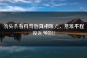 汤头条看料背后真相曝光，意难平程度超预期！