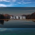 汤头条 官网