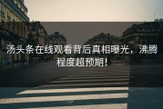 汤头条在线观看背后真相曝光，沸腾程度超预期！