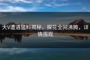 大V遭遇猛料揭秘，探花全网沸腾，详情围观