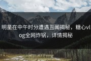 明星在中午时分遭遇丑闻揭秘，糖心vlog全网炸锅，详情揭秘