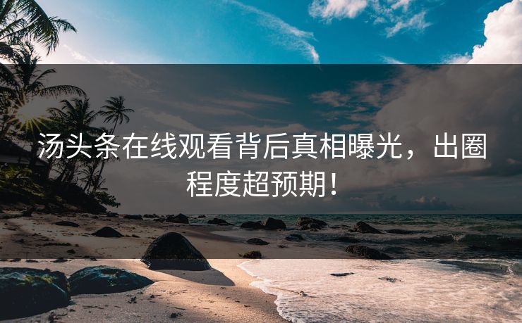 汤头条在线观看背后真相曝光，出圈程度超预期！