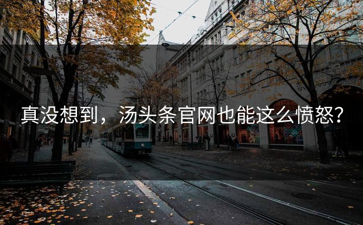真没想到，汤头条官网也能这么愤怒？